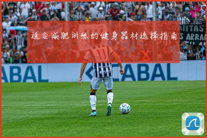 适合减肥训练的健身器材选择指南