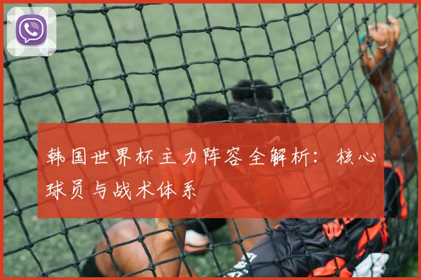 韩国世界杯主力阵容全解析：核心球员与战术体系
