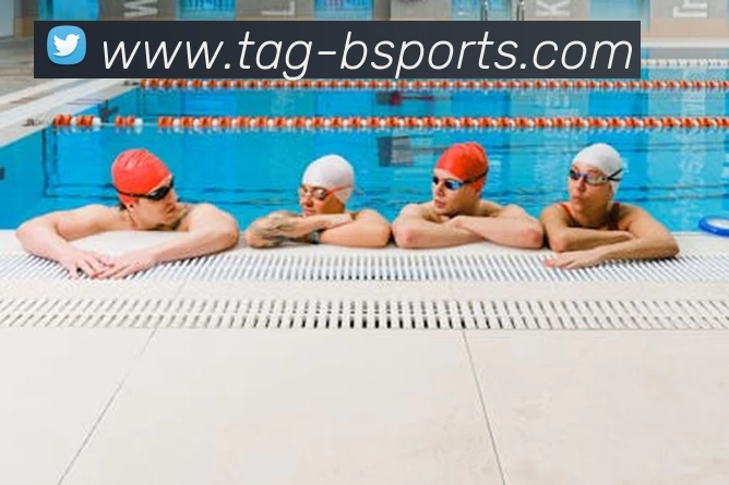 B体育平台生态图